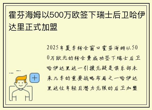 霍芬海姆以500万欧签下瑞士后卫哈伊达里正式加盟