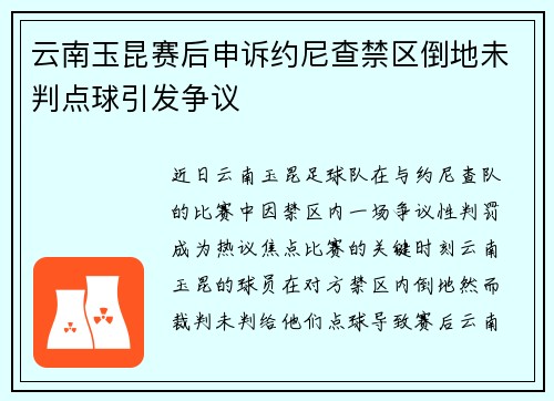 云南玉昆赛后申诉约尼查禁区倒地未判点球引发争议
